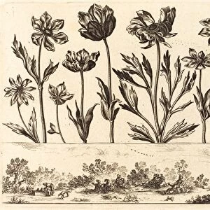 Nicolas Cochin after Balthasar Moncornet (French, 1610 - 1686), Flower Print no. 1
