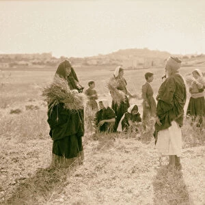 Ruth series threshing floor winnowing 1925 Middle East