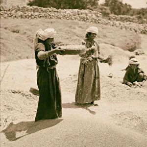 Sifting wheat 1900 Middle East Israel Palestine