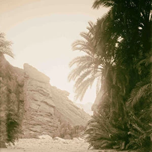 Sinai Red Sea Tor Wady Hebran Scene 1900 Egypt