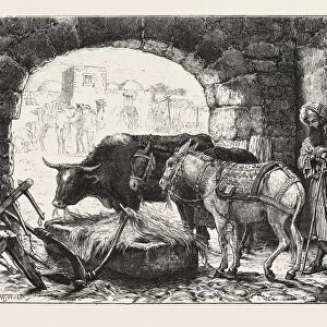 A Stable at Bethlehem, Engraving 1876
