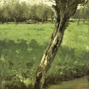 Willow, Geo Poggenbeek, c. 1873 - c. 1903