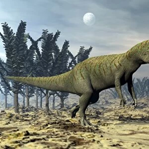 Allosaurus dinosaur walking amongst pachypteris trees