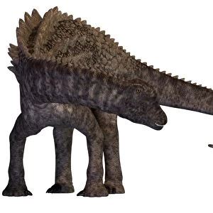 Ampelosaurus dinosaur