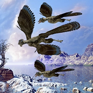 Archaeopteryx birds fly near a shoreline on a cloudy prehistoric day