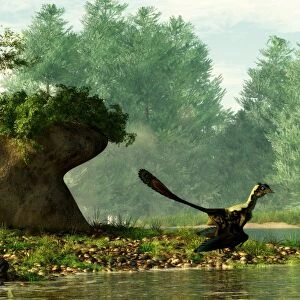 Archaeopteryx on the shore of a river