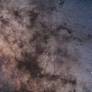 The Dark Horse and Snake Nebulae in Ophiuchus
