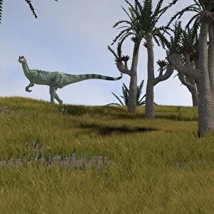 Dilophosaurus hunting for its next meal