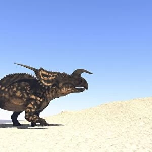 Einiosaurus walking across a barren landscape
