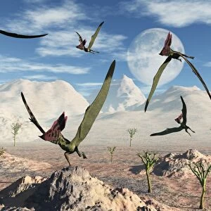 A flock of Thalassodromeus pterosaurs during Earths Cretaceous period