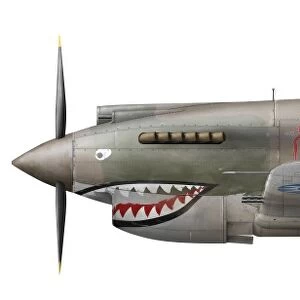 Illustration of a Curtiss P40-C Warhawk of the Flying Tigers