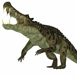 Kaprosuchus marine reptile