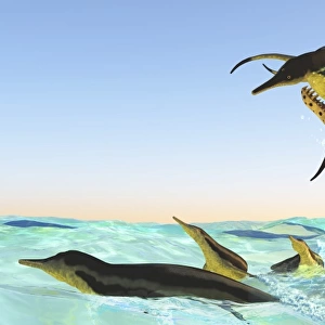 Kronosaurus, attacks a pod of Dolichorhynchops in Cretaceous seas