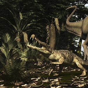 A large Carcharodontosaurus attacks a Kaprosuchus