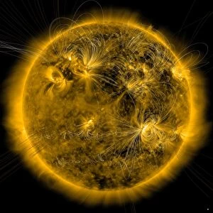 Magnetic field lines on the Sun