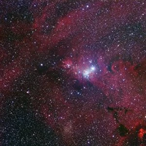 NGC 2264, The Cone Nebula Region