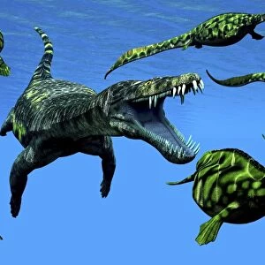 A Nothosaurus marine reptile attacks a pod of Hupehsuchus dinosaurs