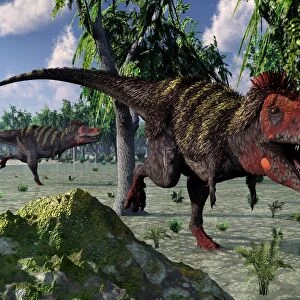 A pair of Tarbosaurus dinosaurs hunting for food