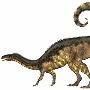 Plateosaurus dinosaur, side view