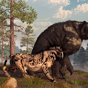 A saber-toothed cat tries to drive a short-faced bear out of its territory