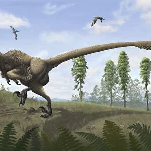 Saurornitholestes seeks prey in burrows