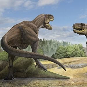 A Teratophoneus dinosaur defends its prey from another relative