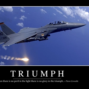 Triumph: Inspirational Quote and Motivational Poster