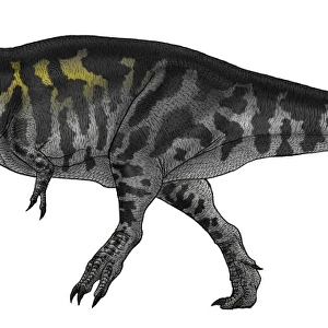 Tyrannosaurus Rex, a large predator of the Cretaceous Period