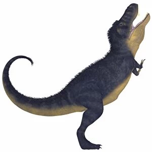 Tyranosaurus Rex, a large carnivore of the Cretaceous Period