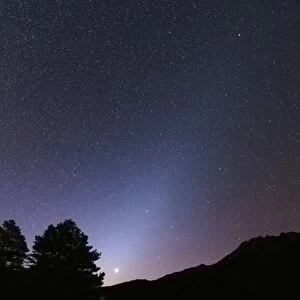Venus setting and a bright cone of zodiacal light visible after sunset