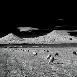Ararat mountain