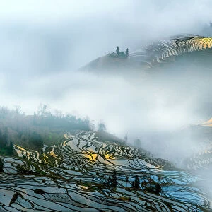 Yuan Yang rice terraces