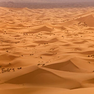 Erg Chebbi Dunes, Sahara Desert, Morocco, North Africa, March 2011