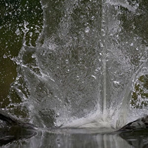 Splash in water made by Osprey (Pandion haliaetus) fishing, Kangasala, Finland, August