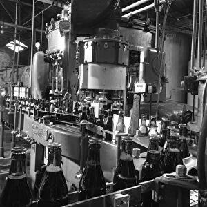 Beer bottles being filled at Ward & Sons, Swinton, South Yorkshire, 1960. Artist