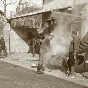 Blacksmith shoeing horse, Suippes, northern France, c1914-c1918
