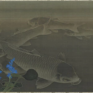 Carp, Edo period, early 19th century. Creator: Kuroda Toko