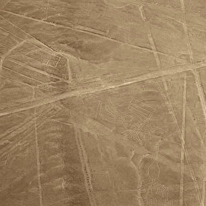 The Condor, Nazca Lines, Ica, Peru, 2015. Creator: Luis Rosendo