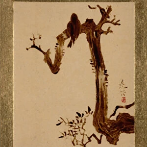 Crow on Tree. Creator: Shibata Zeshin