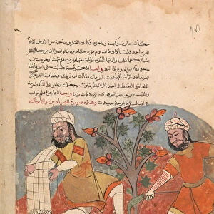 The Fish and the Fisherman, Folio from a Kalila wa Dimna, 18th century. Creator: Unknown