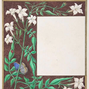 Floral Border Design, 1830-62. Creator: Freeman Gage Delamotte