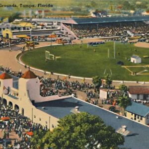 Florida Fair Grounds, Tampa, Florida, c1940s