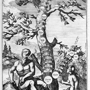 Genealogy tree of Adam, 1675. Artist: Athanasius Kircher