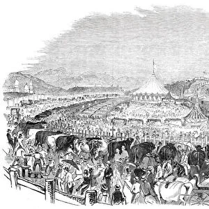 The Great Poughkeepsie Cattle Show, 1844. Creator: Smyth