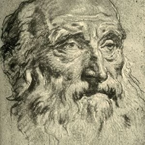 Head of an Old Man, mid 18th century, (1928). Artist: Giovanni Battista Tiepolo