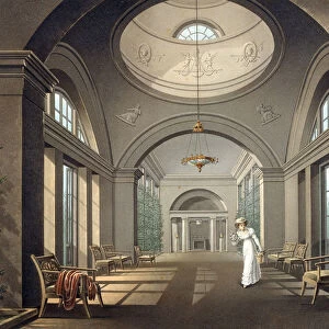 Interior of the Aviary in the Pavlovsk Palace, mid 19th century