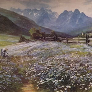June in the Austrian Tyrol, c1892 Artist: John MacWhirter