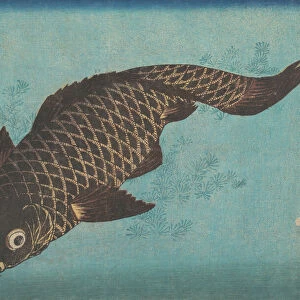 Koi, ca. 1842. Creator: Ikeda Eisen