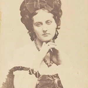 [La Comtesse decolletee; Roses mousseuses], 1861-67