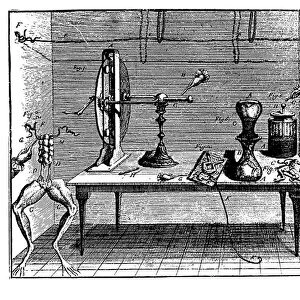 Luigi Galvanis experiments with electricity, 1791